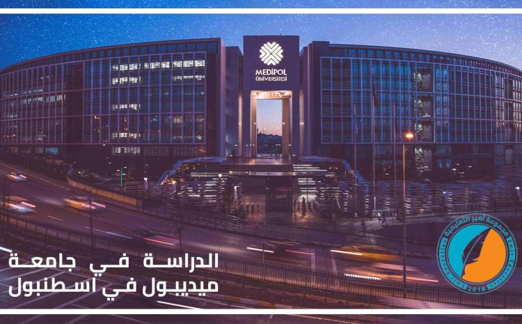  الدراسة في جامعة ميديبول في اسطنبول