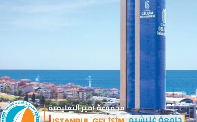  جامعة غليشيم: فرصة التخصص المزدوج والتدريب العملي المميز