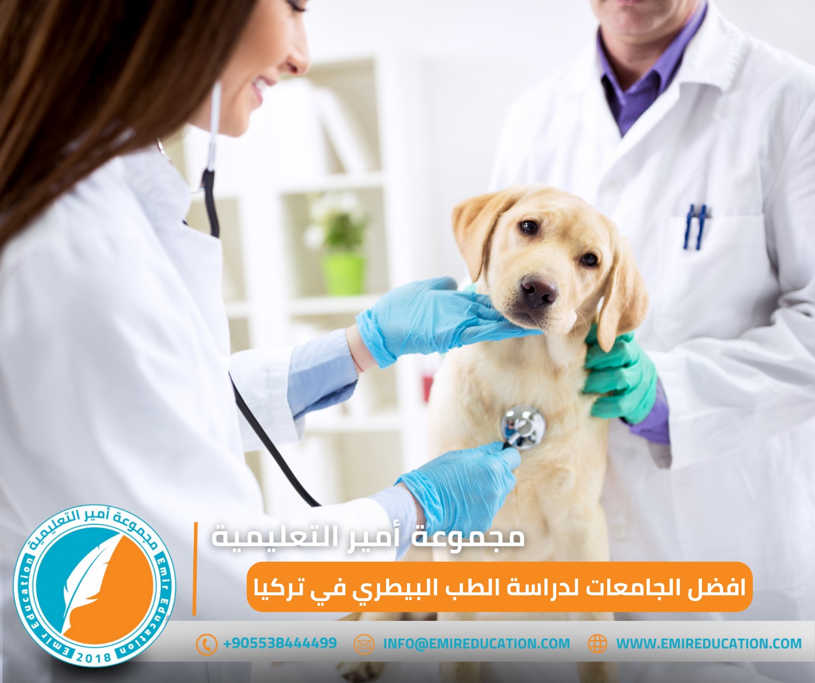 دراسة الطب البيطري في تركيا